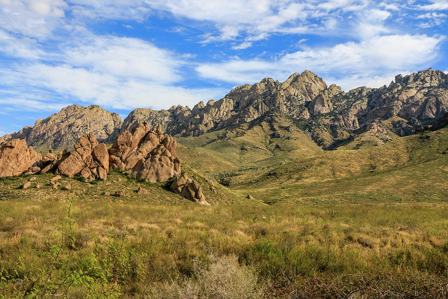 Organ Mountains 1, New Mexico Photograph by Dawn Richards