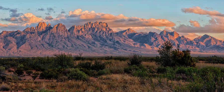 Organ Mountains, Las Cruces, New Mexico Photograph by Loree Johnson