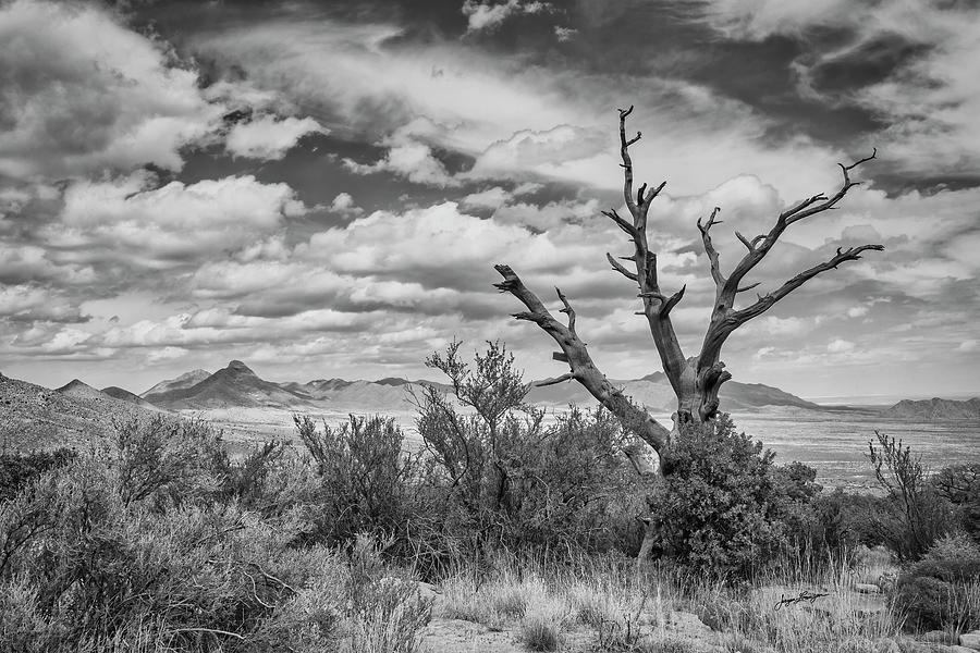 Organ Mountains National Monument Photograph by Jurgen Lorenzen