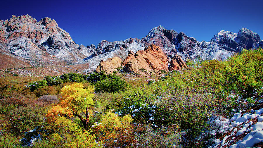 Organ Mountains Photograph - Organ Mountains Transition by Zayne Diamond Photographic Organ Mountains Photograph - Organ Mountains Transition by Zayne Diamond Photographic