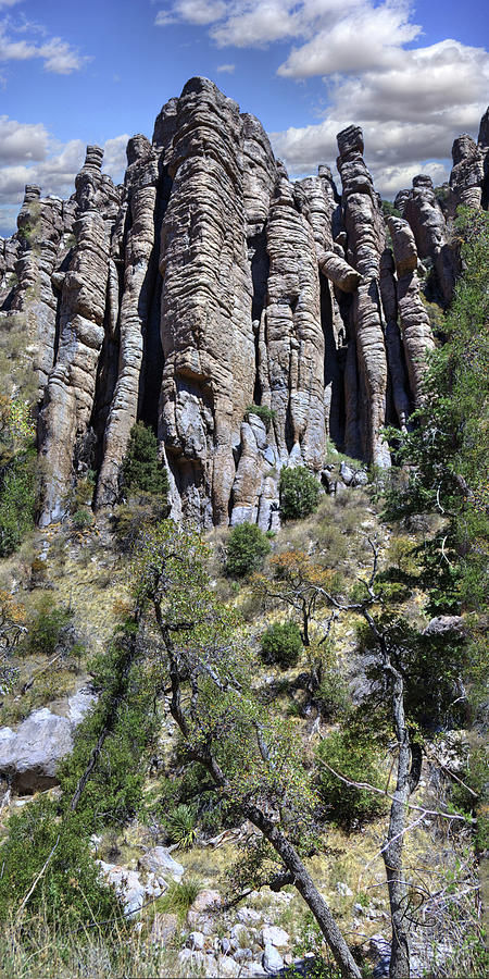Organ Pipe Formation Photograph by Robert Harris