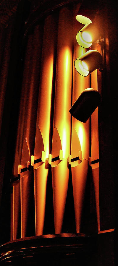 Organ Pipes Photograph by John Linnemeyer