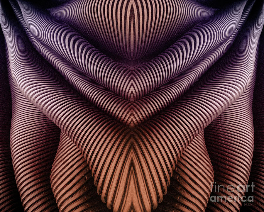 organic abstract photograph - Inner Tubes Digital Art by Sharon Hudson
