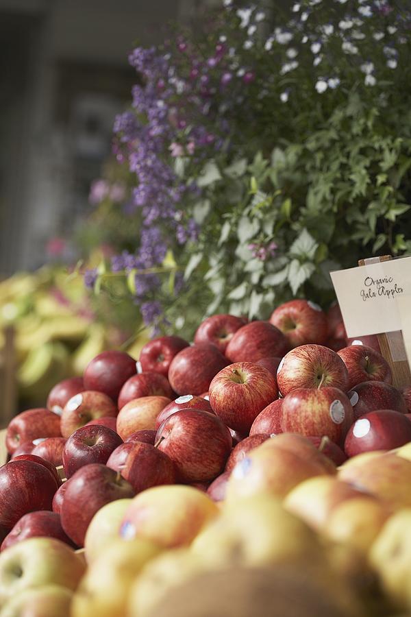 Organic apples Photograph by Tammy Hanratty