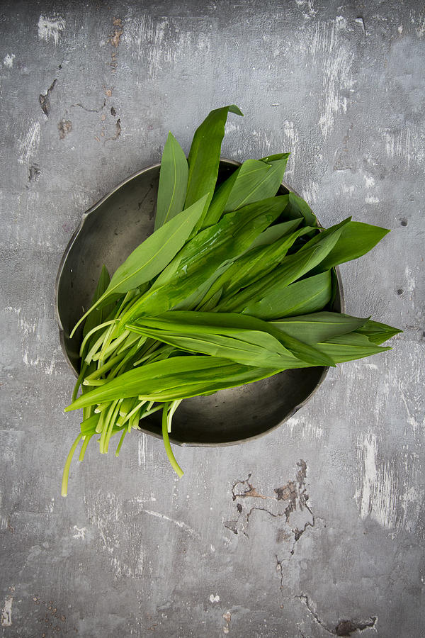 Organic Wild garlic, Allium ursinum, on plate Photograph by Larissa Veronesi