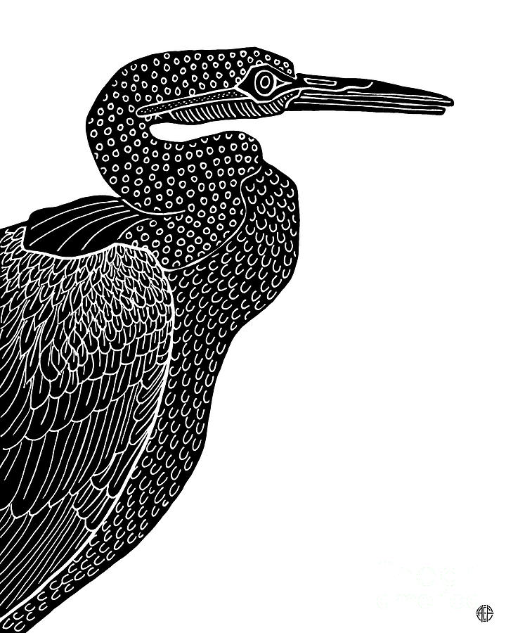 Oriental Darter. Wild Animal Ink 18  Drawing by Amy E Fraser