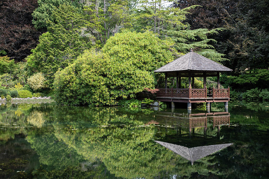 Oriental Garden 2 Photograph by Peter De Gannes - Fine Art America