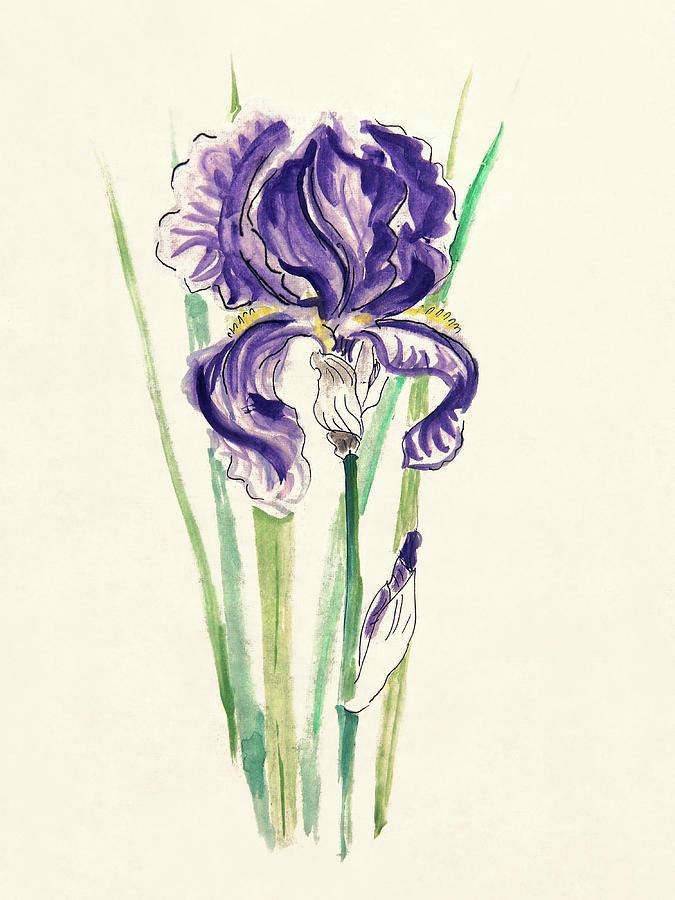Oriental Iris Painting by Masha Batkova