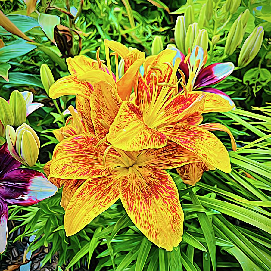 Oriental Lily Expressionism Photograph by Bill Swartwout