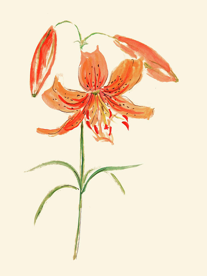 Oriental Tiger Lily Painting by Masha Batkova
