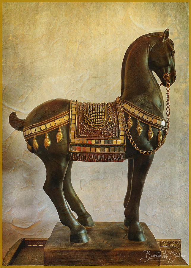 Oriental Vintage Equine Photograph by Barbara Zahno