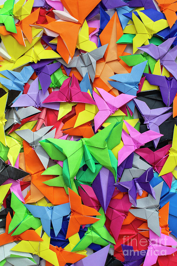 Origami Butterflies Photograph by Tim Gainey