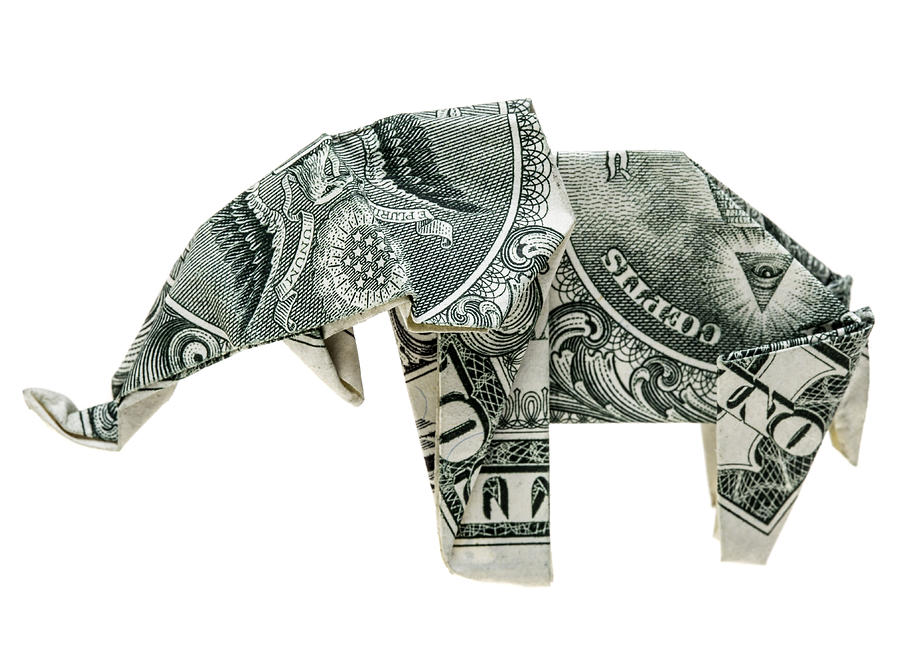 Origami dollar elephant Photograph by Aluxum