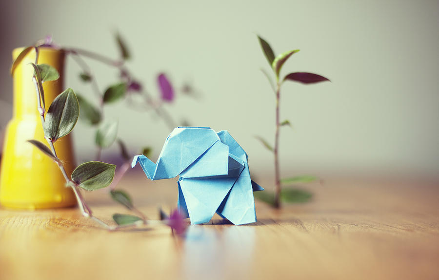 Origami elephant Photograph by Paula Daniëlse