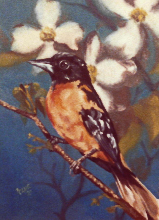 Oriole Painting