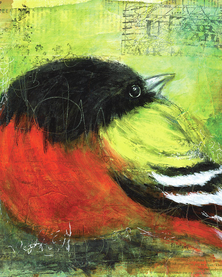 Oriole Painting by Patricia Lintner