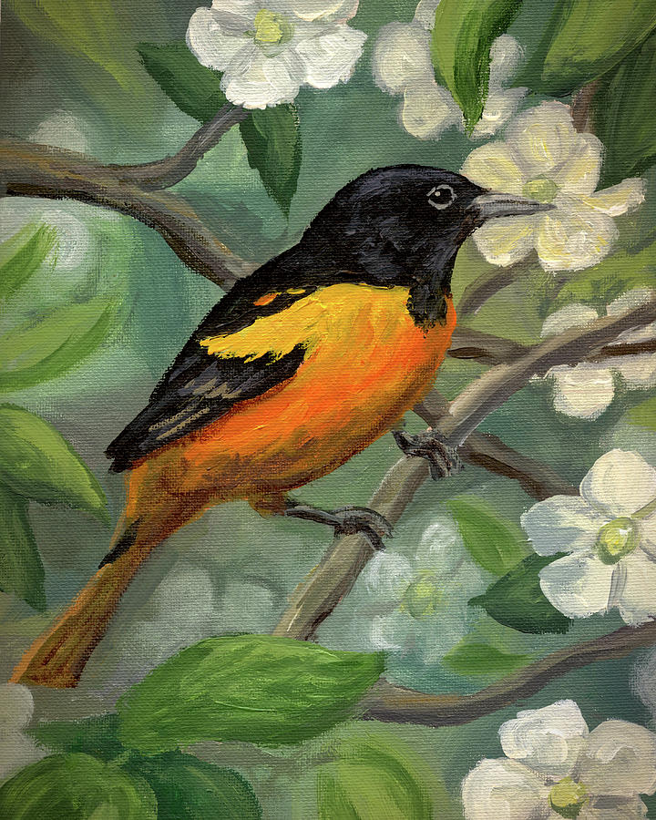 Oriole Painting - Oriole with White Flowers by Steph Moraca