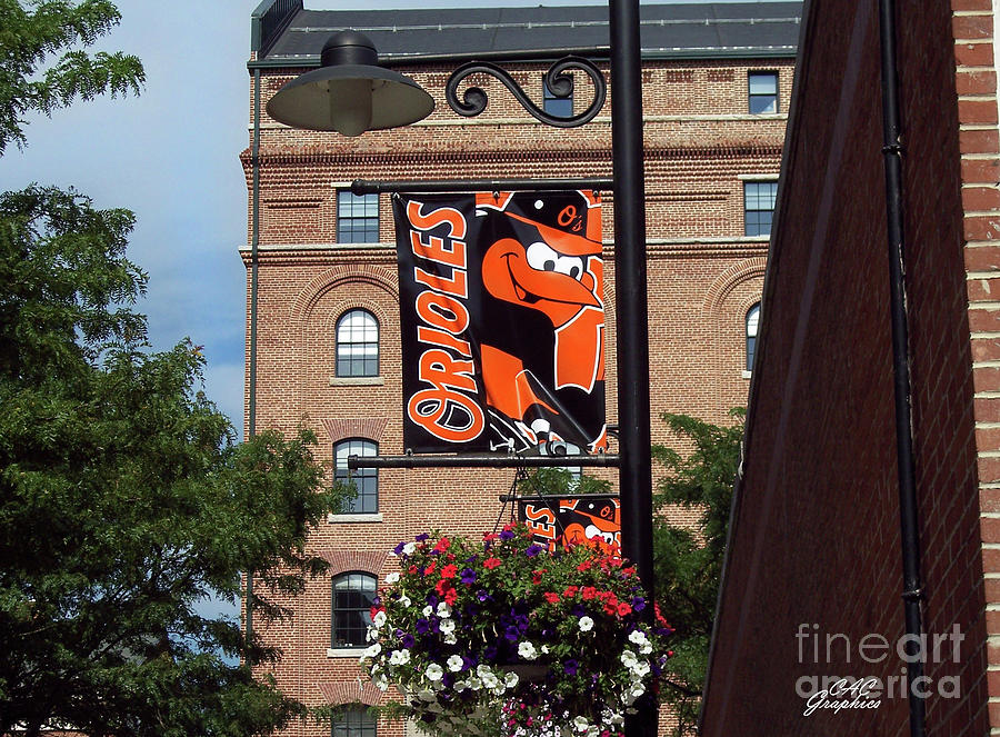 Orioles Banner Photograph by CAC Graphics