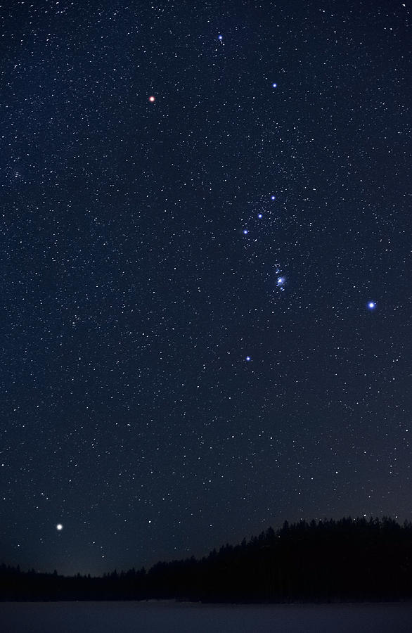 Orion constellation and Sirius rising above horizon Photograph by Eerik