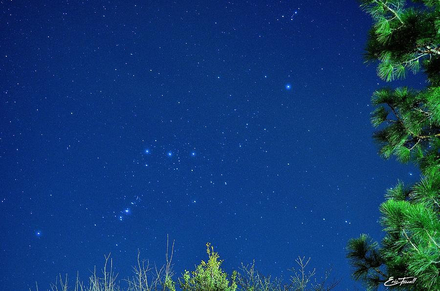 Orion from the Back Yard Photograph by Eric Towell