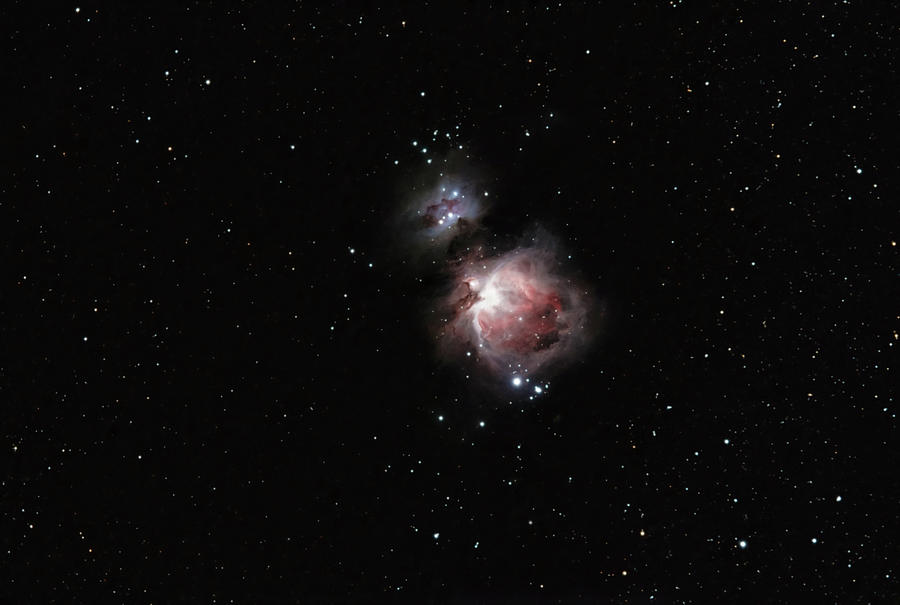 Orion Nebula - M42 Photograph by Irwin Seidman