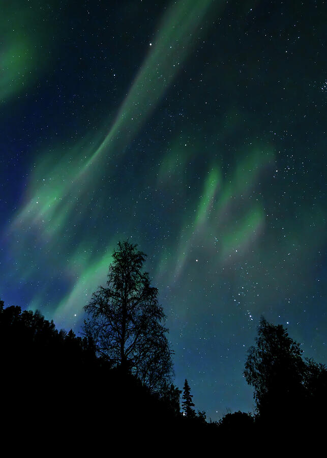 Orions Lights Photograph by Harry Banks Orions Lights Photograph by Harry Banks