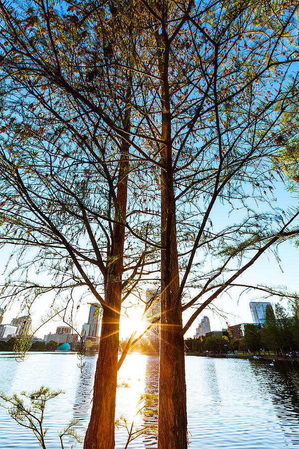 Orlando skyline in the park Photograph by Lightkey