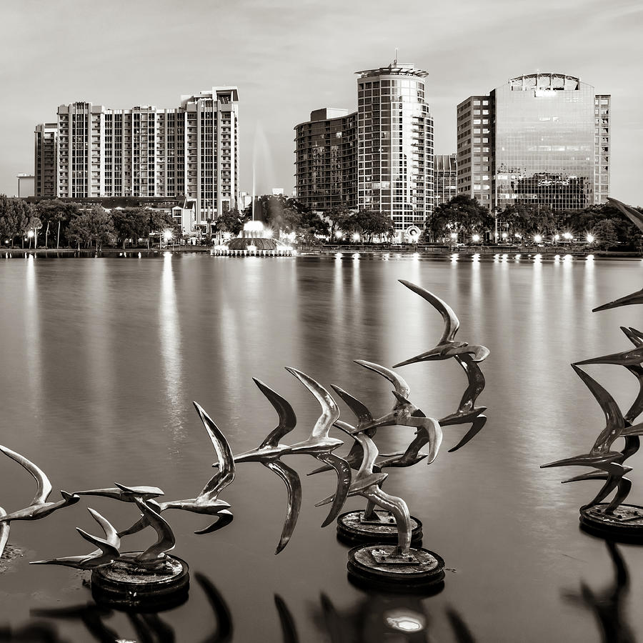 Orlando Skyline Taking Flight - Lake Eola Sepia 1x1 Photograph