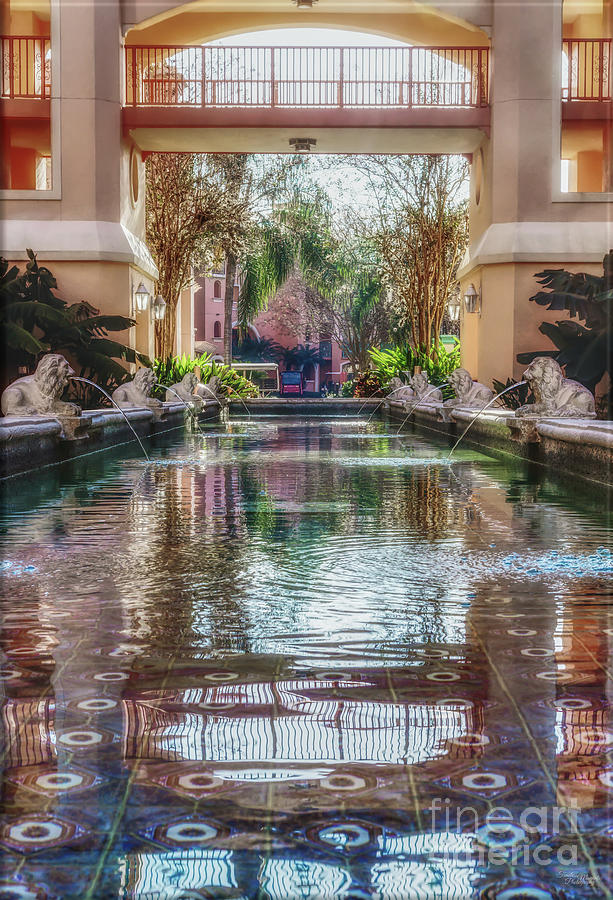 Orlando Water Fountain Photograph by Jennifer White