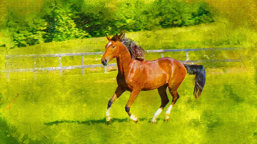 Orlov Trotter horse running on pasture - digital painting Digital Art by Nicko Prints