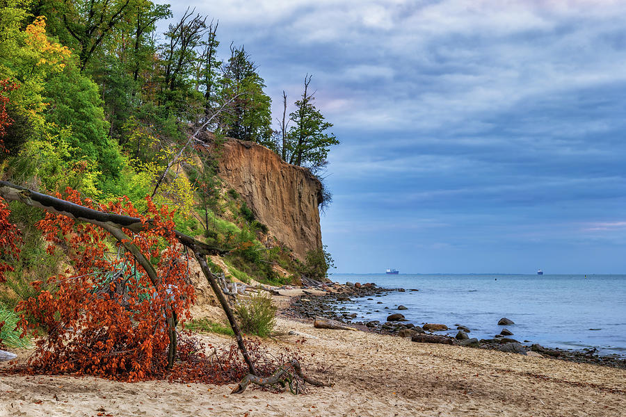 Orlowo Cliff And Beach At Baltic Sea In Gdynia Photograph by Artur Bogacki