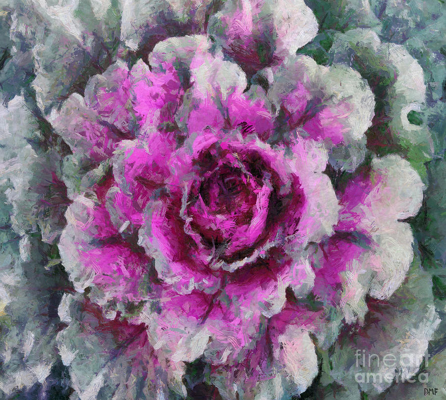 Ornamental Cabbage  Painting by Dragica Micki Fortuna