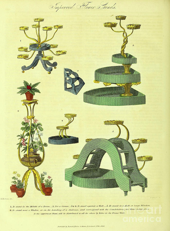 Ornamental Gardening o4 Drawing by Botany