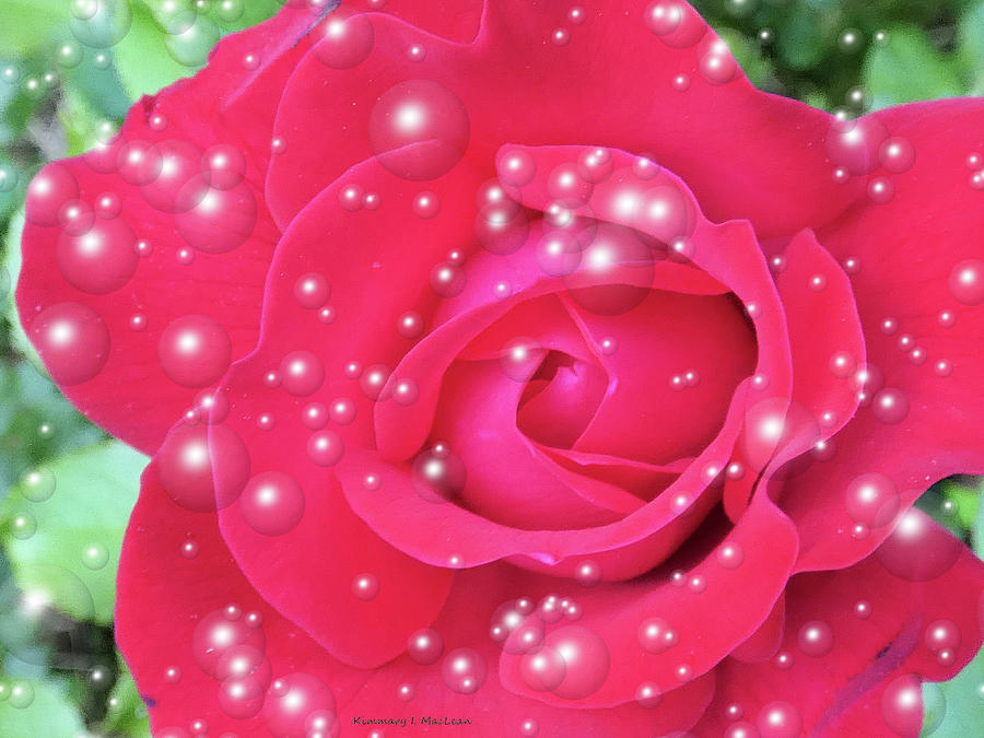 Ornamental Rose Digital Art by Kimmary I MacLean