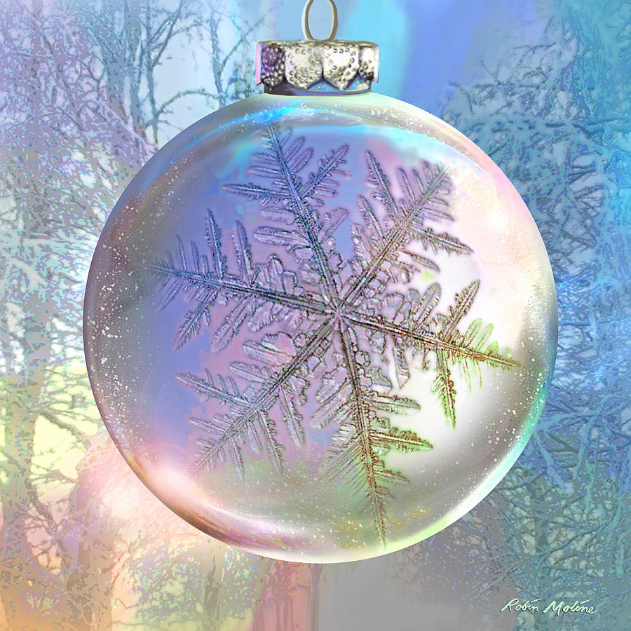 Ornamental Snowflake  Digital Art by Robin Moline