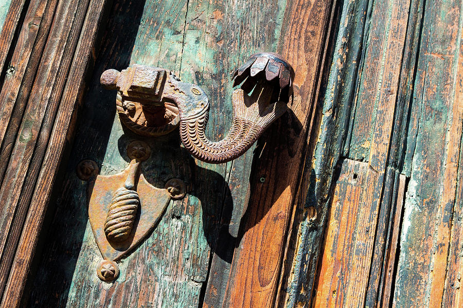Ornate fish motif door handle of Baroque building Photograph by Viktor Wallon-Hars