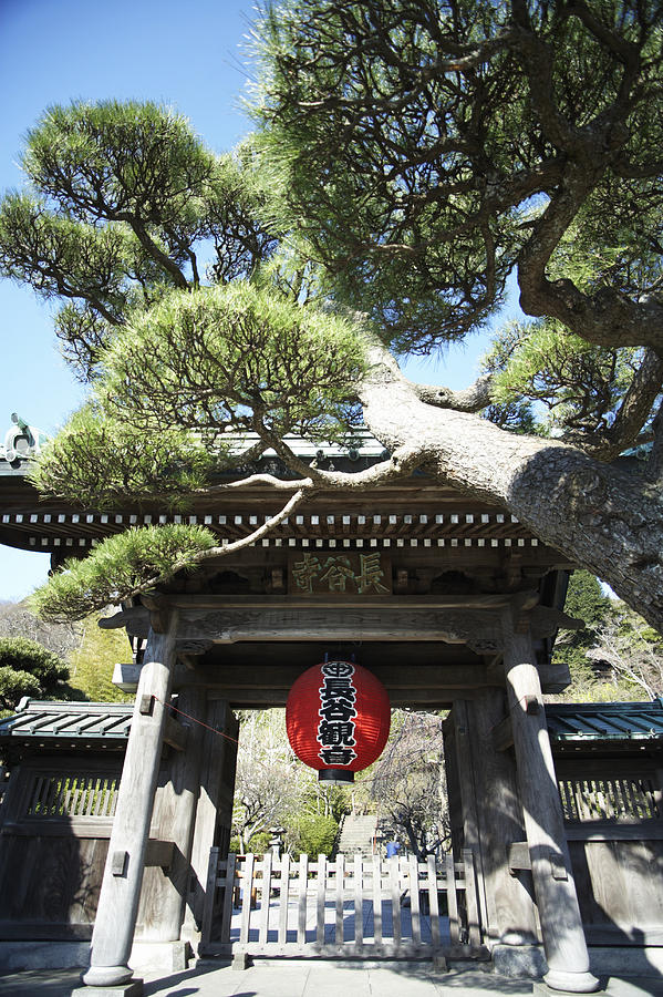 Ornate Gateway, Japan Photograph by Jeremy Maude