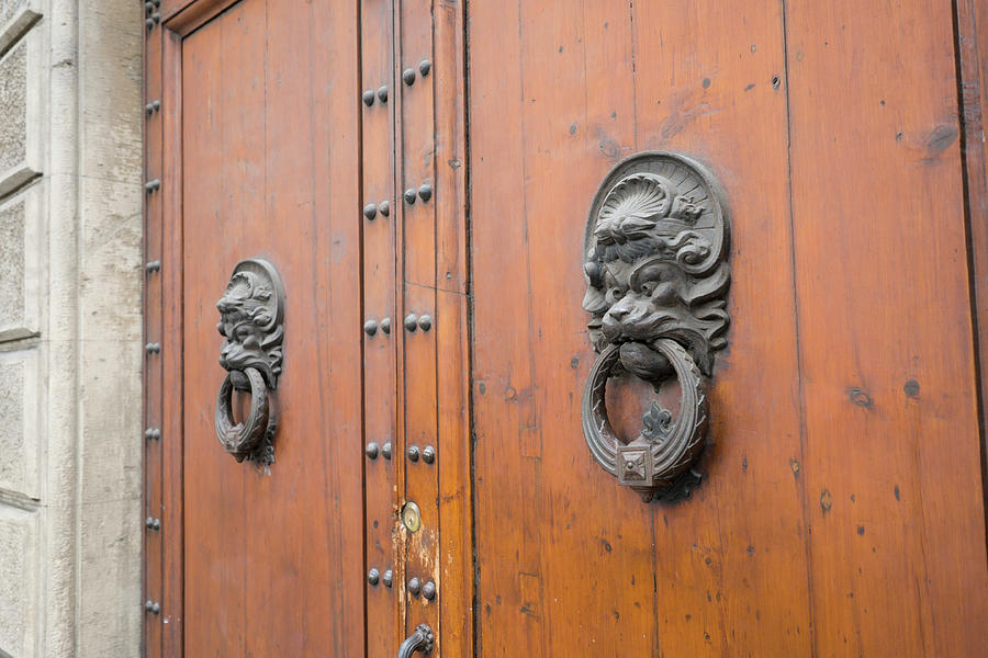 Ornate knockers on wooden door Photograph by David L Moore