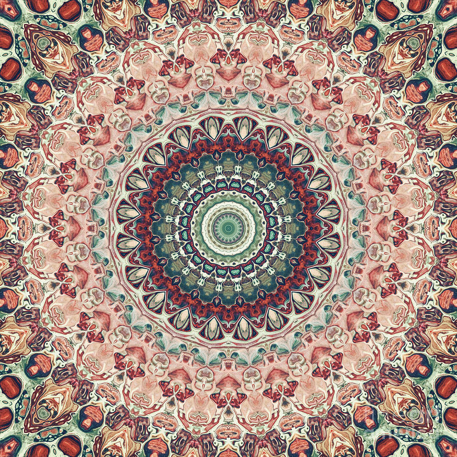 Ornate Mandala One Digital Art by Phil Perkins
