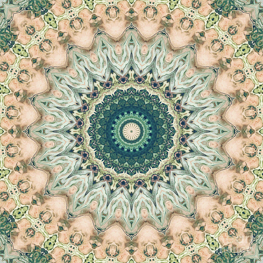 Ornate Mandala Three Digital Art by Phil Perkins