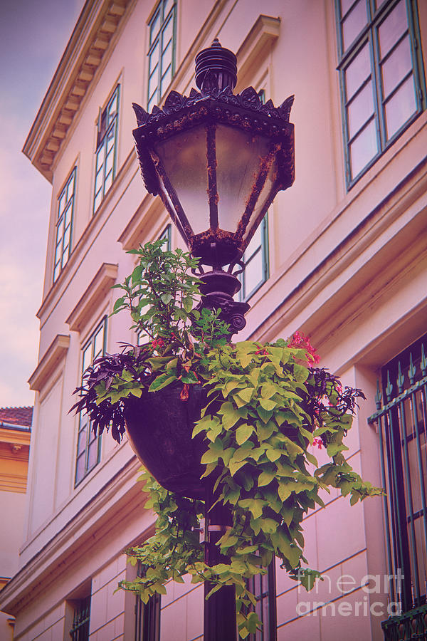 Ornate street lantern with beautiful hanging flower pot Photograph by Mendelex Photography
