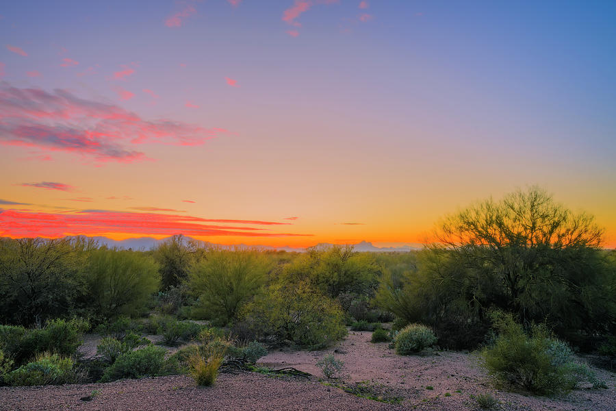 Oro Valley Evening H2030 Photograph
