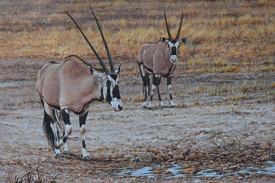 Oryx Painting by Alan M Hunt