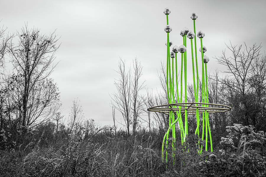 Osage Park Tall Grass Sculpture In Selective Coloring Photograph by Gregory Ballos