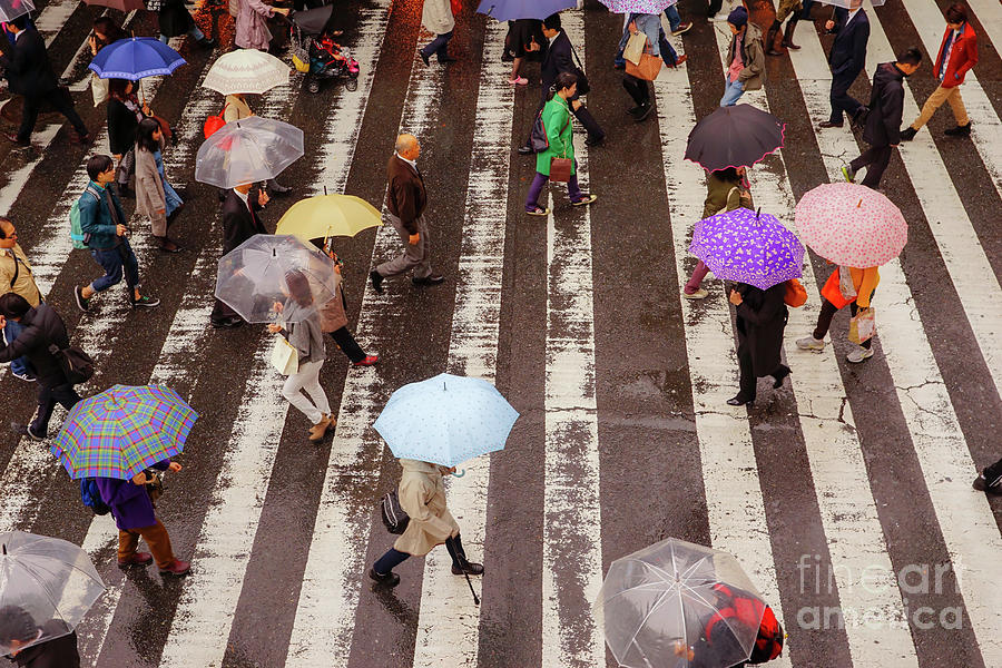 Osaka Pedestrian Crossing, Japan Photograph by Luciano Mortula
