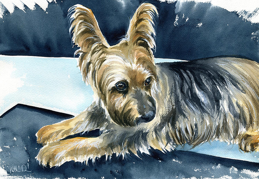 Oscar Australian Silky Terrier Painting by Dora Hathazi Mendes