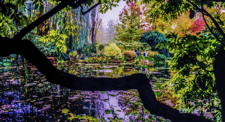 Claude Monet Photograph - Oscar Claude Monets Garden Pond by D Davila