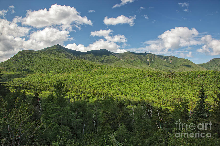 Osceola Mountain Range - White Mountains, New Hampshire Photograph by Erin Paul Donovan