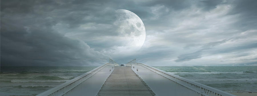 Oscoda Moon Photograph by Evie Carrier