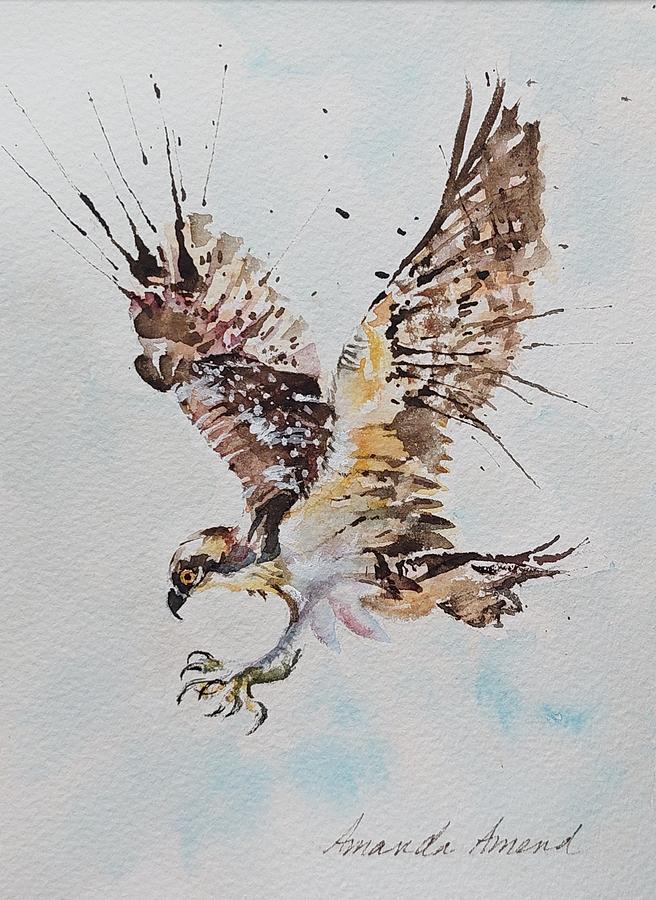 Osprey Painting - Osprey by Amanda Amend